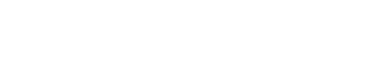 DSJ Logo